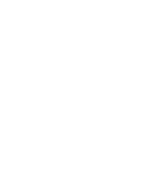 pin icon